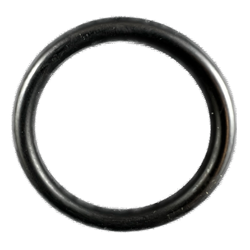 AR pump valve o-ring